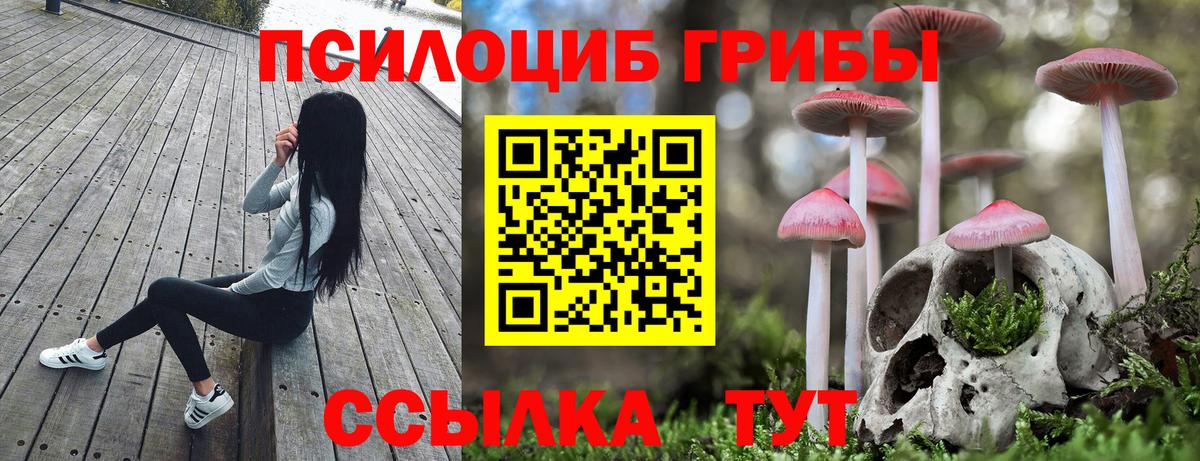 Ялта  Псилоцибиновые грибы мухоморы  Псилоцибиновые грибы мухоморы  Вход с VPN 