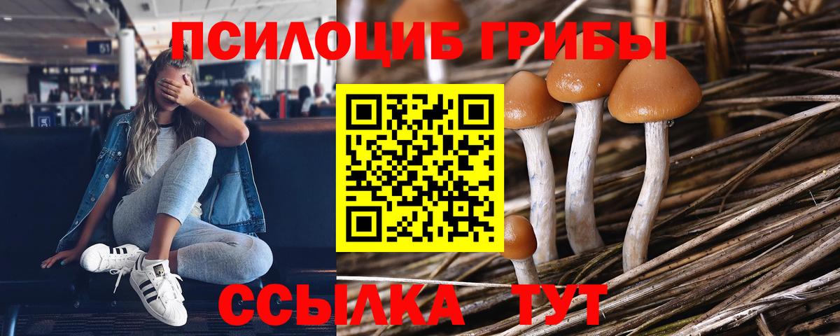 Галлюциногенные грибы GOLDEN TEACHER Ялта